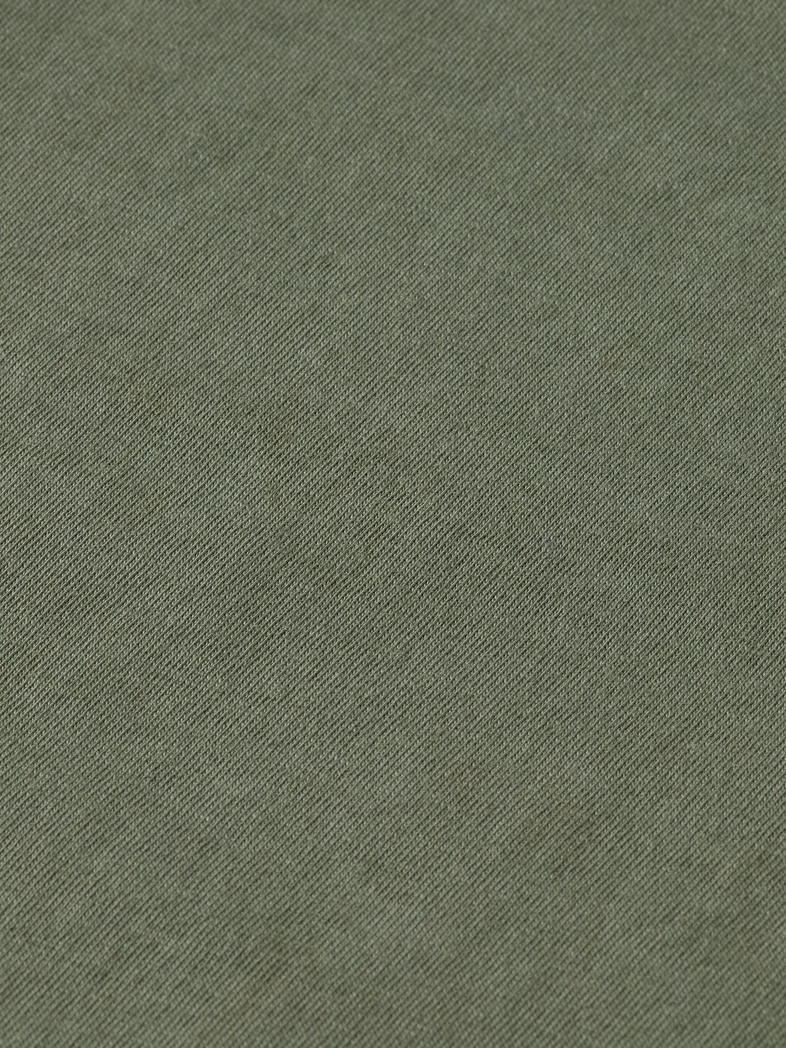 Long sleeved t-shirt - Thyme