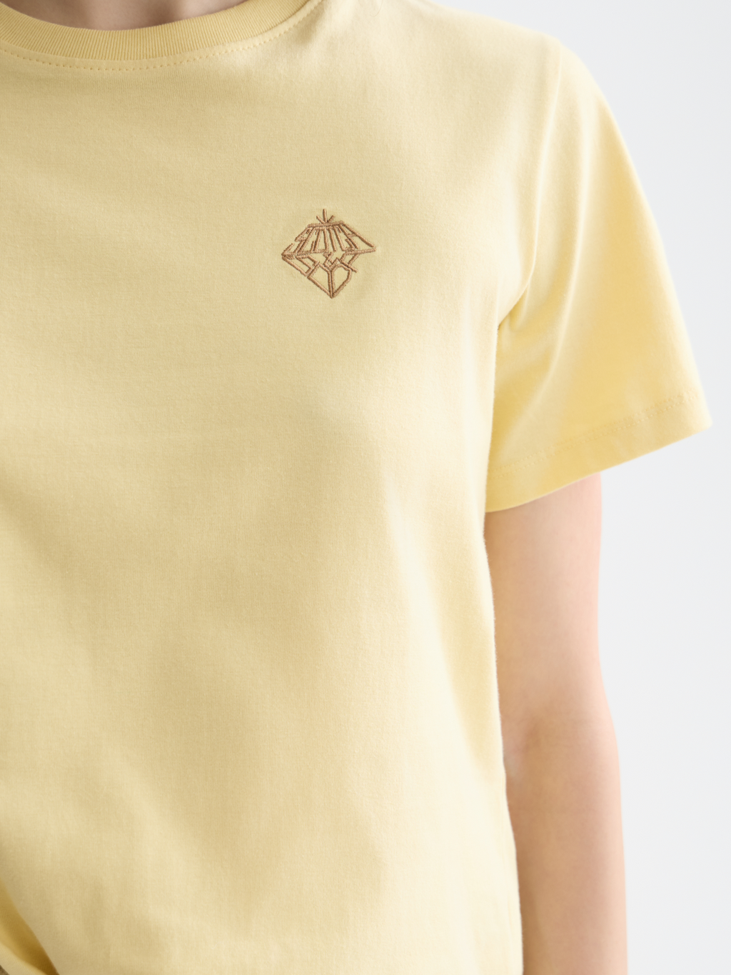 Scotch & Soda - Embroidered t-shirt - Parsnip